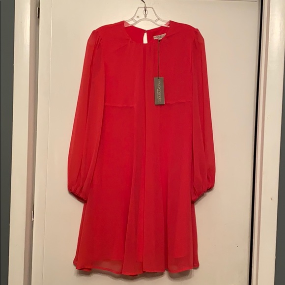 eva mendes for New York & Company Dresses & Skirts - Salmon dress with lining Super cute & flowey.